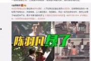 广西婆婆出轨爆料视频播放,一场家庭伦理的悲剧