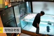 宠物店老板爆料视频,视频揭露行业惊人内幕