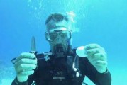 美军潜水员爆料新闻视频,深海秘密行动内幕曝光