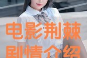 荆棘在线观看,揭秘网络世界的生存法则与挑战