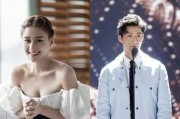 圈内爆料何超莲视频合集,揭秘明星日常与甜蜜瞬间
