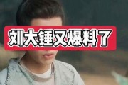 郑年轻大锤爆料视频,揭秘背后惊人真相